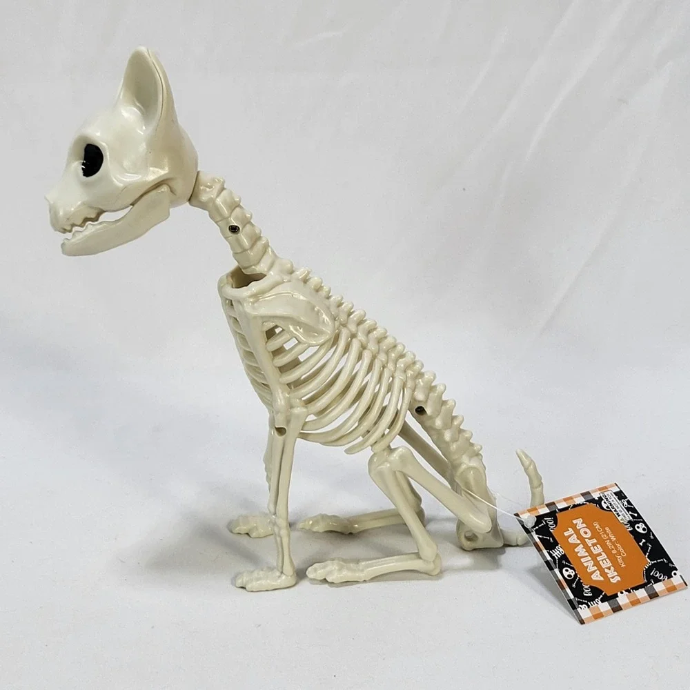 Halloween Kitty Cat Animal Skeleton 7.2